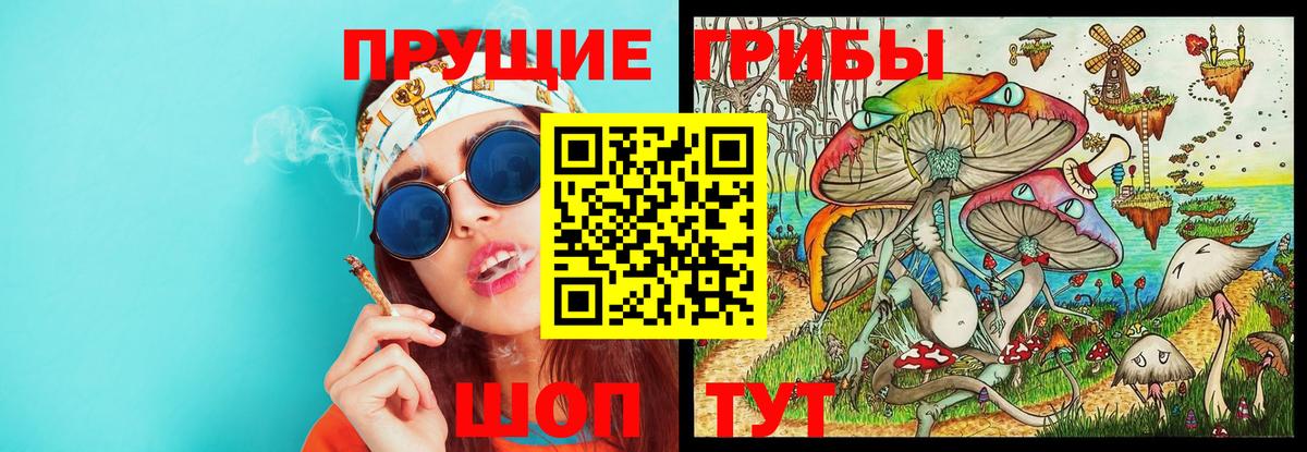 Псилоцибиновые грибы Psilocybe Туймазы