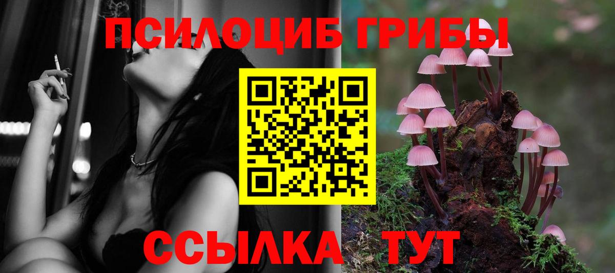 Туймазы  Псилоцибиновые грибы Cubensis  Вход с VPN  Псилоцибиновые грибы MAGIC MUSHROOMS 